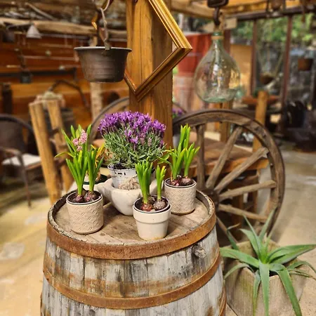 Ca' Datu 4* Finale Ligure