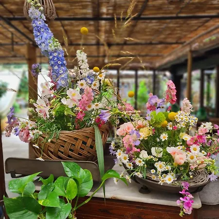 Alojamento de Acomodação e Pequeno-almoço Ca' Datu