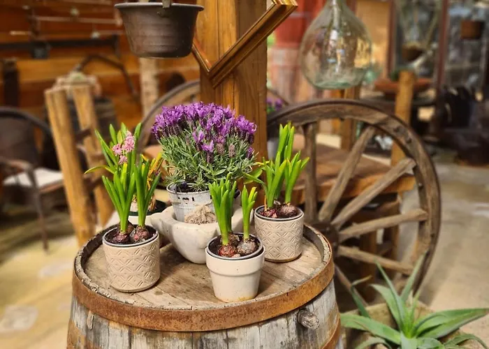 Ca' Datu 4* Finale Ligure