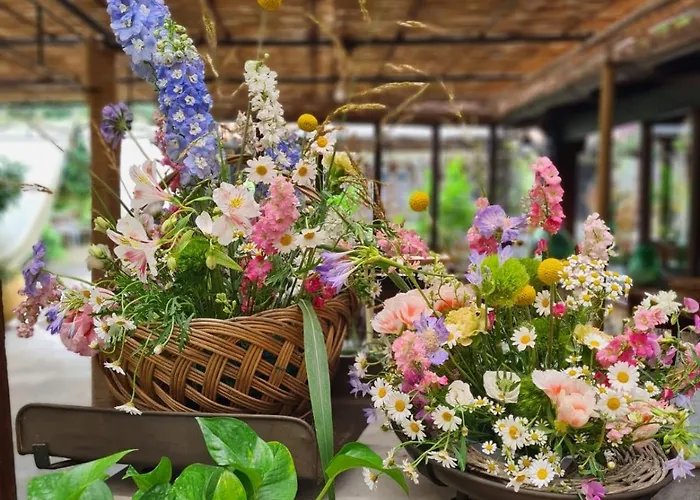 לינה וארוחת בוקר Ca' Datu